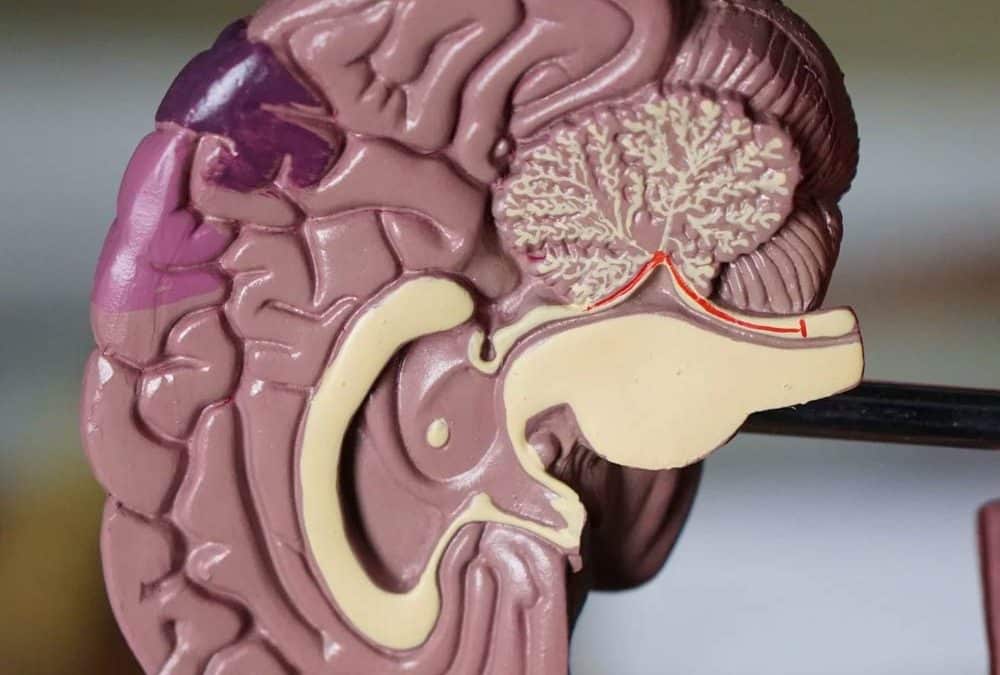What Is EMDR and How Can It Be Used?